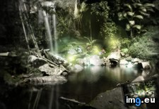 Tags: 1440x900, enchanted, forest, wallpaper (Pict. in Desktopography Wallpapers - HD wide 3D)