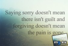 Tags: english, love, nice, pain, say, sory, text (Pict. in Best beautiful, motivational quotation images)
