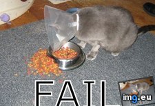 Tags: fail, funny, meme (Pict. in Funny pics and meme mix)