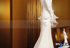 Tags: appliqued, collar, dress, fashionable, high, jacket, long, satin, sheath, sleeves, wedding (Pict. in wedding dress)