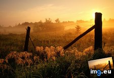 Tags: burwash, fence, fog, ontario, sunrise (Pict. in Beautiful photos and wallpapers)
