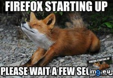 Tags: cute, few, firefox, fox, funny, seconds, starting, wait (Pict. in Rehost)