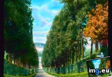 Tags: avenue, boboli, florence, gardens, lined, tree (Pict. in Branson DeCou Stock Images)