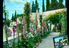 Tags: bel, florence, fonte, garden, riposo, villa (Pict. in Branson DeCou Stock Images)