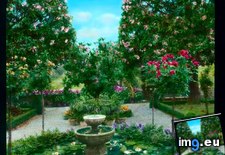 Tags: bel, florence, fonte, fountain, garden, riposo, villa (Pict. in Branson DeCou Stock Images)