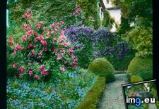 Tags: florence, garden, strozzino, villa (Pict. in Branson DeCou Stock Images)