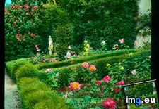 Tags: florence, garden, rose, strozzino, villa (Pict. in Branson DeCou Stock Images)