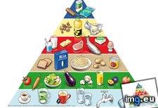 Tags: adults, dietary, food, health, pyramid, recommendations (Pict. in Rehost)