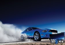 Tags: ford, gt500, shelby, wallpaper, wide (Pict. in Unique HD Wallpapers)