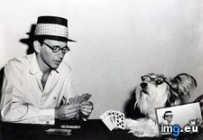 Tags: cards, dog, frank, playing, sinatra (Pict. in Rehost)
