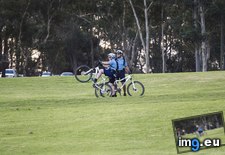Tags: australia, funny, jump, street (Pict. in My r/FUNNY favs)