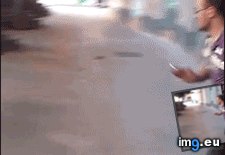 Tags: funny, gifs, instant, karma (GIF in My r/FUNNY favs)