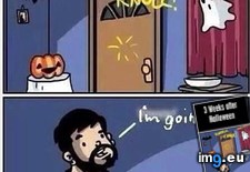 Tags: funny, halloween, weeks (Pict. in My r/FUNNY favs)