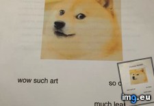 Tags: cover, funny, page, student, turned (Pict. in My r/FUNNY favs)