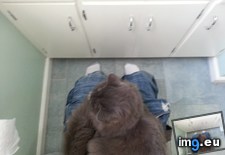 Tags: cats, deal, finally, funny, girlfriend, moving, see (Pict. in My r/FUNNY favs)
