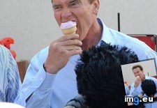 Tags: arnold, cream, funny, ice, terminates (Pict. in My r/FUNNY favs)