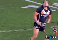 Tags: australian, funny, sports, stars (GIF in My r/FUNNY favs)