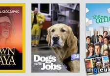 Tags: applications, break, funny, hunting, hurts, job, months, netflix (Pict. in My r/FUNNY favs)