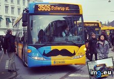 Tags: bus, funny, happy, movember, tache (Pict. in My r/FUNNY favs)