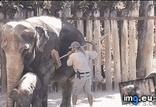 Tags: borrow, can, funny (GIF in My r/FUNNY favs)
