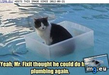 Tags: cat, current, fridge, funny, hope, lolcats, takes (Pict. in LOLCats, LOLDogs and cute animals)