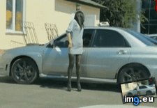 Tags: checking, funny, out (GIF in My r/FUNNY favs)