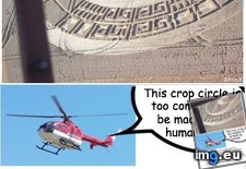 Tags: circles, crop, funny, helicopter (Pict. in My r/FUNNY favs)