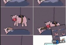 Tags: cows, damn, funny (Pict. in My r/FUNNY favs)