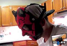 Tags: cat, darth, funny, maul (GIF in My r/FUNNY favs)