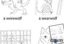Tags: funny, types, wolves (Pict. in My r/FUNNY favs)