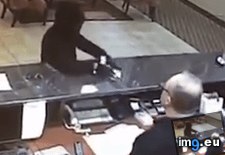 Tags: funny, robbery (GIF in My r/FUNNY favs)
