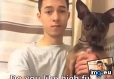 Tags: fives, funny, high, you (GIF in My r/FUNNY favs)