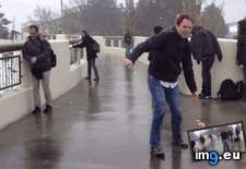 Tags: drifting, freezing, funny, rain (GIF in My r/FUNNY favs)