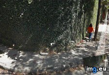 Tags: caught, fail, funny, google, maps (GIF in My r/FUNNY favs)