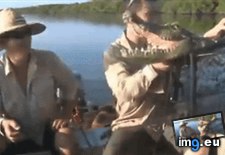 Tags: fishermen, funny, humour (GIF in My r/FUNNY favs)