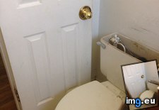 Tags: ass, depot, fixing, funny, hernia, leak, pain, putting, rin, time, toilet, trips, wax, worked (Pict. in My r/FUNNY favs)