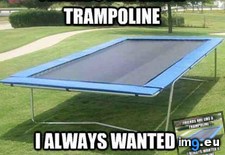 Tags: are, friends, funny, trampolines (Pict. in My r/FUNNY favs)