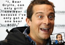 Tags: ama, asked, bear, bears, funny, grill, grylls, how (Pict. in My r/FUNNY favs)