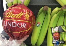 Tags: banana, chocolate, for, funny, giant, lindt, scale (Pict. in My r/FUNNY favs)