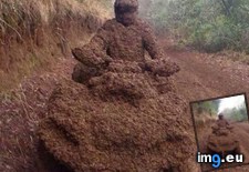 Tags: atv, funny, muddy (Pict. in My r/FUNNY favs)