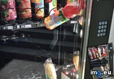 Tags: bought, damn, drink, funny, machine, sandwich, stuck, vending (Pict. in My r/FUNNY favs)