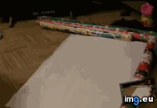 Tags: funny, gift, how, wrap (GIF in My r/FUNNY favs)