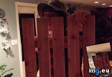 Tags: costume, friend, funny, howdy, neighbour (Pict. in My r/FUNNY favs)