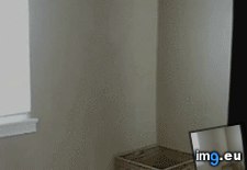 Tags: can, funny, human, you (GIF in My r/FUNNY favs)