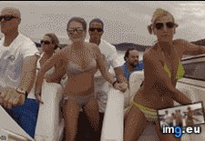 Tags: funny, gif, love (GIF in My r/FUNNY favs)