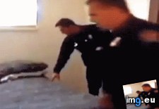 Tags: funny, mattress, peoplebeingjerks (GIF in My r/FUNNY favs)