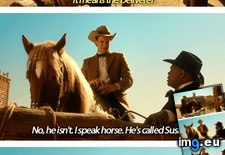 Tags: funny, horse, speak (Pict. in My r/FUNNY favs)