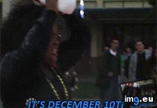 Tags: funny, waited, year (GIF in My r/FUNNY favs)