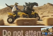 Tags: chance, fucking, funny, godzilla, race, stop, wheelers (Pict. in My r/FUNNY favs)
