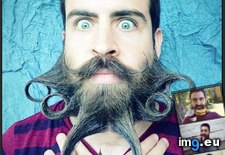 Tags: beard, crazy, funny, guy, honor, november, shave (Pict. in My r/FUNNY favs)